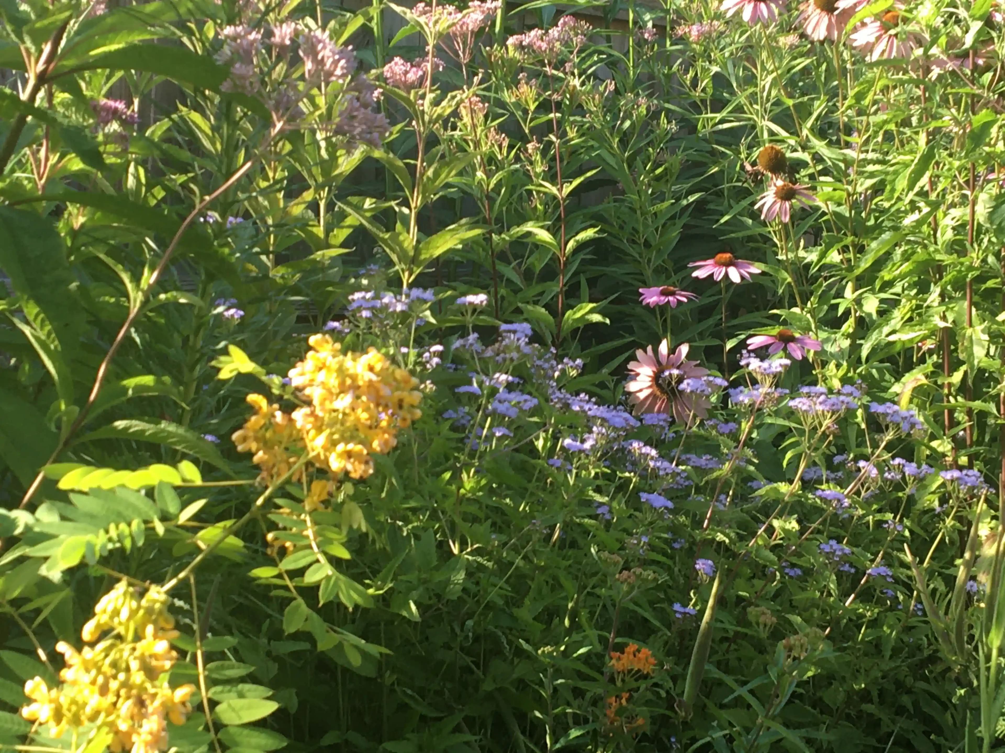 Kids exploring a woodland trail with magnifying glasses